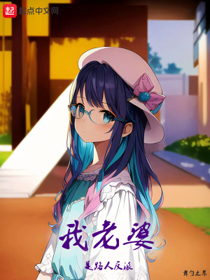 我老婆是反派 小说